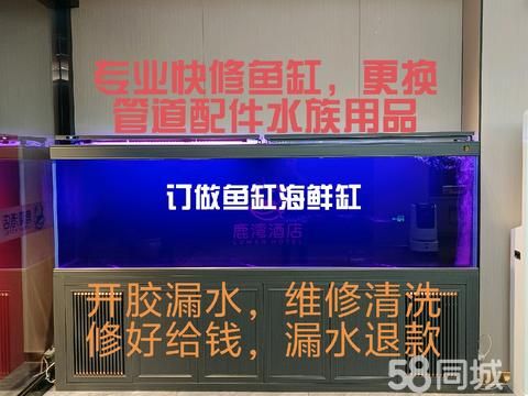 专业维修鱼缸水族服务·专业鱼缸维修与养护，各种鱼缸订做，搬运鱼缸