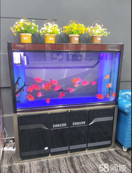 店主头像
