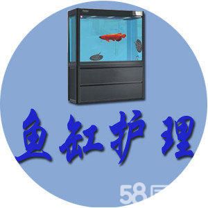 哈尔滨专业鱼缸维修维护·专业清洗鱼缸维修鱼缸清理鱼缸维护鱼缸养护鱼缸搬运鱼缸安装鱼缸换水洗鱼缸