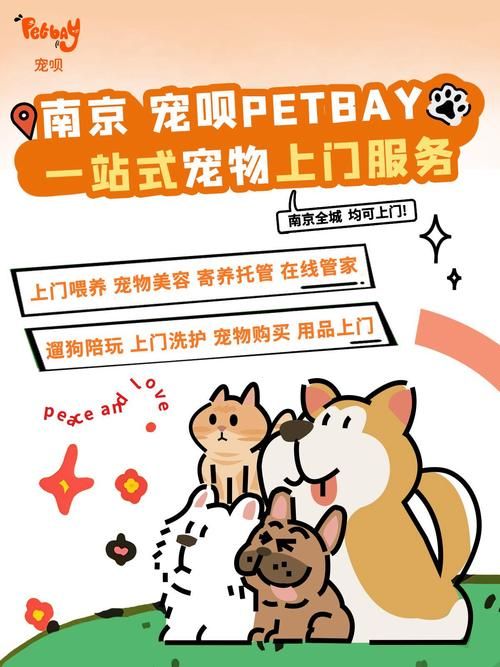 宠物可以上门美容吗_宠物可以送货上门吗