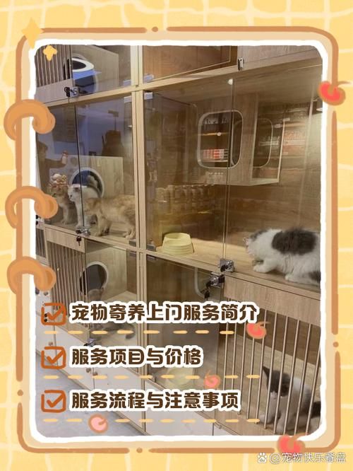 宠物可以上门美容吗_宠物可以送货上门吗