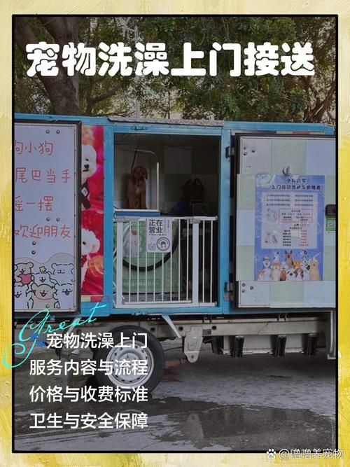 宠物可以上门美容吗_宠物可以送货上门吗