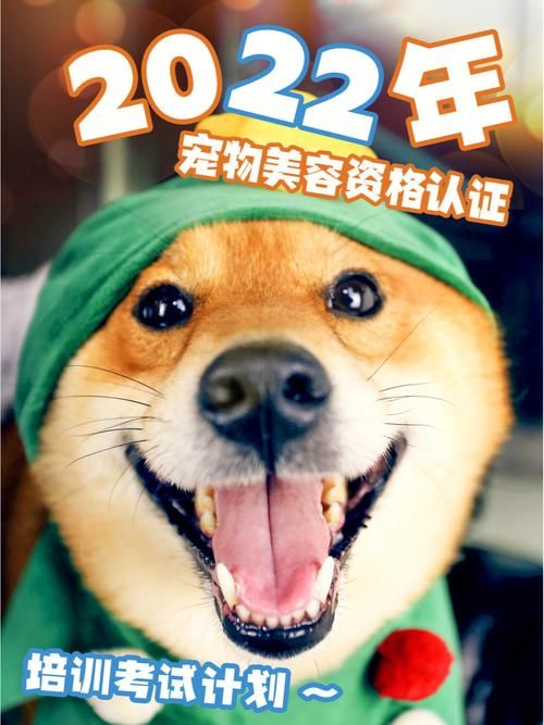 宠物美容上班,宠物美容上班时间