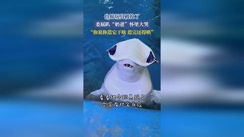 白鲸玩具被抢了，委屈趴“奶爸”怀里大哭，你说你惹它干啥，惹完还得哄