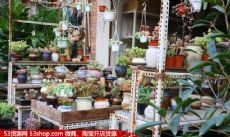 江北望海花鸟市图片