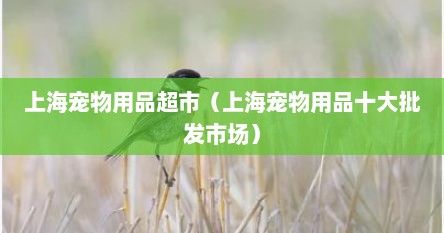 上海宠物用品超市（上海宠物用品十大批发市场）