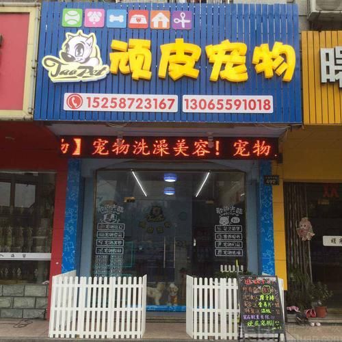 新手怎么开宠物店去哪里进货?（新手如何开宠物店）