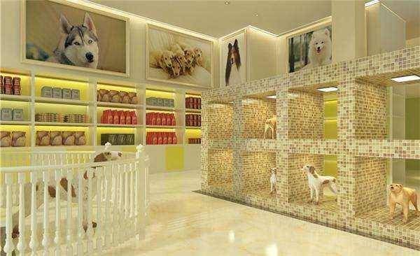 新手怎么开宠物店去哪里进货?（新手如何开宠物店）