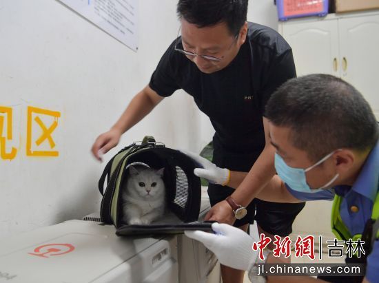 工作人员正在查看宠物猫状态
