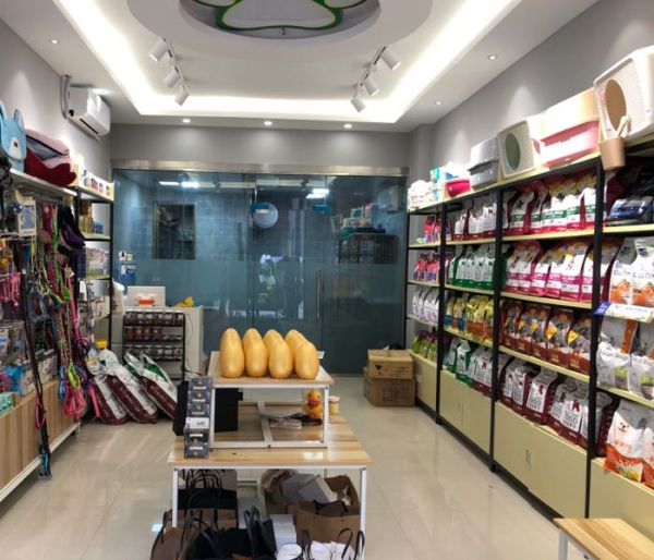 小冷宠物店美容