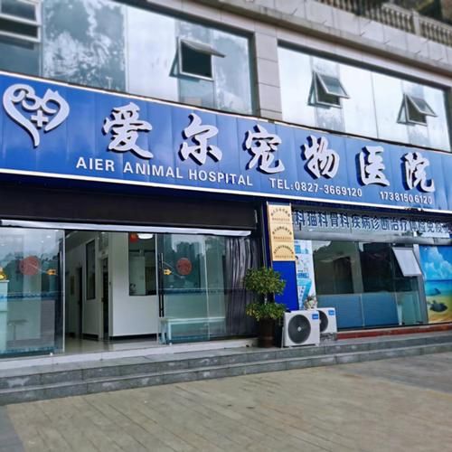 巴中宠物医院在哪里,巴中宠物医院在哪里好