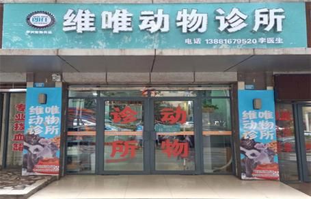 巴中宠物医院在哪里,巴中宠物医院在哪里好