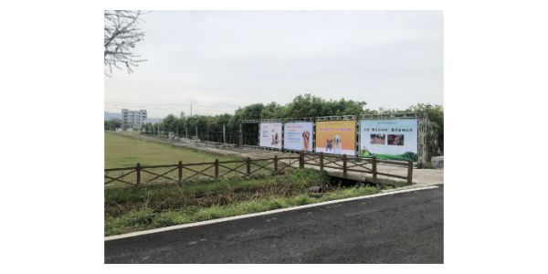 宁波品牌宠物狗火化价格 上海宠淘宠物供应