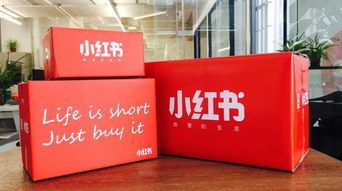 杭州宠物殡葬指南，专业服务