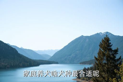 家庭养犬啥犬种最合适呢
