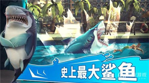 饥饿鲨世界宝宝选择攻略