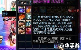 dnf宠物怎么交易 DNF宠物交易全解析