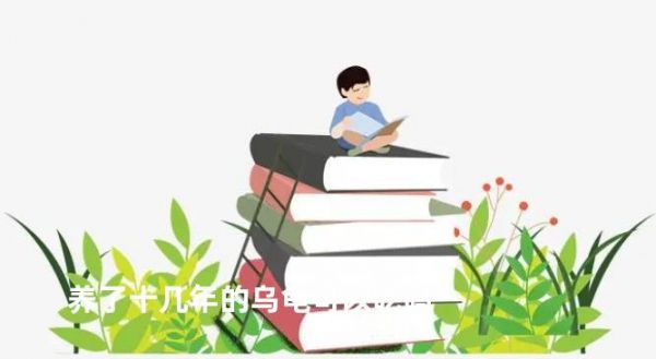 养了十几年的乌龟可以吃吗
