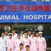 方庄动物医院宠物寄养
