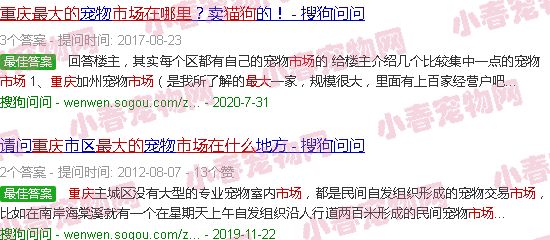 重庆最大的猫狗市场在哪里