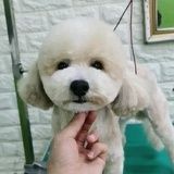 李沁先