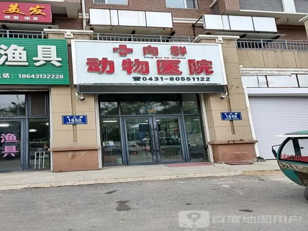 向群动物医院
