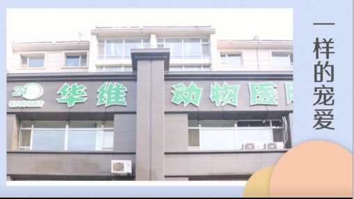 康复动物诊所(临河三条店)