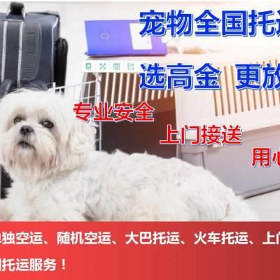 成都宠物托运平台（成都宠物托运公司排名）