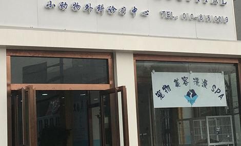 通州区宠物医院,通州区宠物医院地址查询