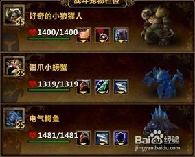 《wow宠物大全》：收集、养成、战斗全攻略？最强宠物排行榜解析