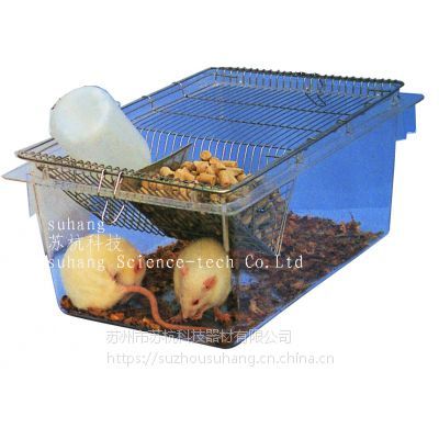 供应透明实验大鼠笼盒 笼具厂