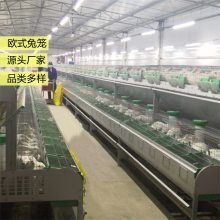 养殖兔笼 母兔笼 商品兔笼笼具厂批发规格多样