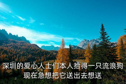 深圳的爱心人士们本人拾得一只流浪狗现在急想把它送出去想送