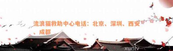 流浪猫救助中心电话：北京、深圳、西安、成都