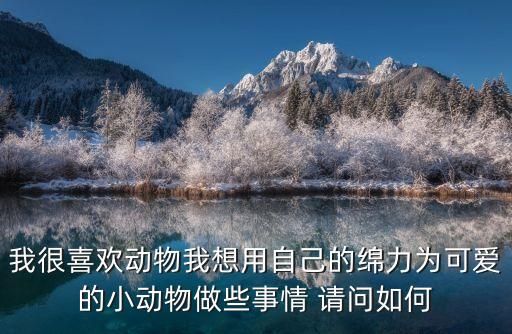 我很喜欢动物我想用自己的绵力为可爱的小动物做些事情 请问如何