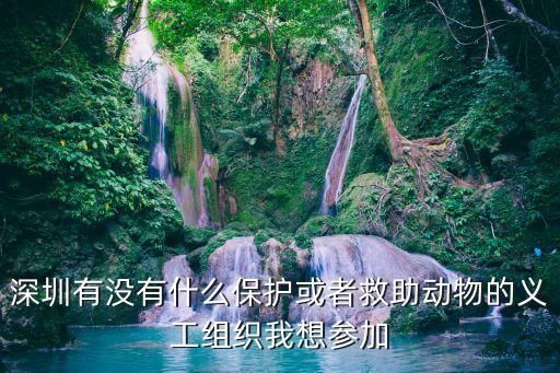深圳有没有什么保护或者救助动物的义工组织我想参加