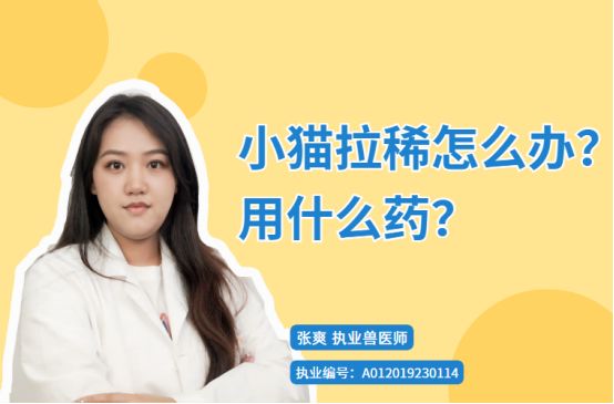 小猫拉稀怎么办用什么药？