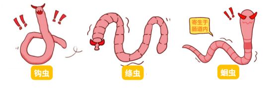 小猫拉稀怎么办？