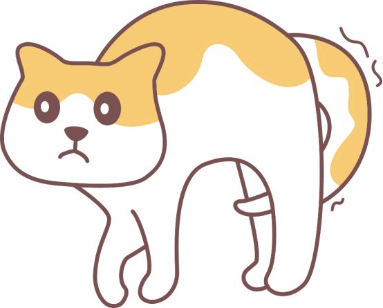 小猫拉稀怎么回事？