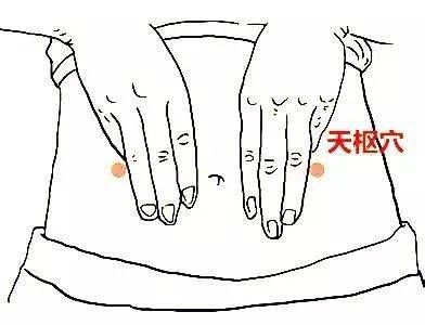 小猫拉肚子怎么办？快速止泻有妙招吗？