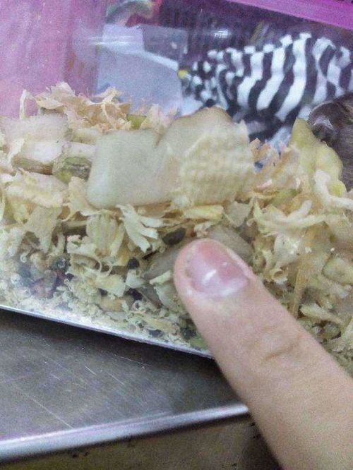 仓鼠拉黄稀便，怎么办？
