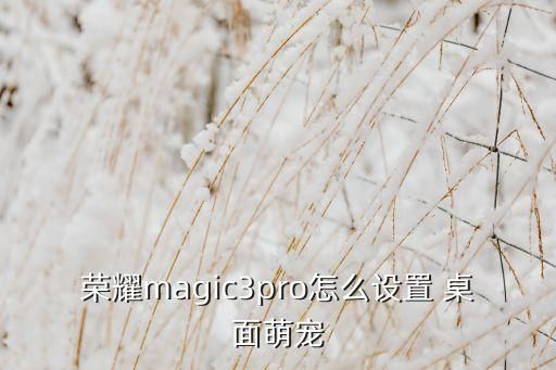 荣耀magic3pro怎么设置 桌面萌宠