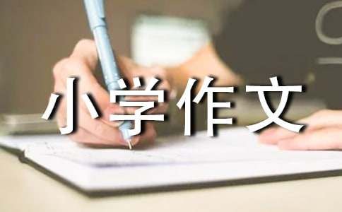 QQ宠物小学作文（精选23篇）