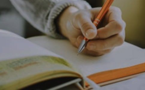 关于宠物作文600字8篇