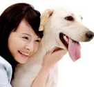 超漂亮美女和宠物桌面壁纸