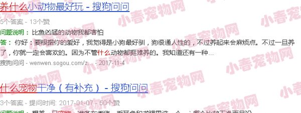 养什么宠物互动性强