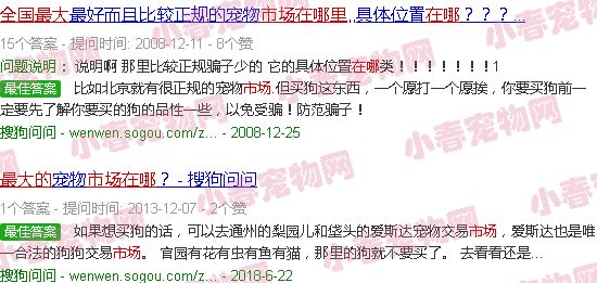 全国最大的宠物猫市场在哪里