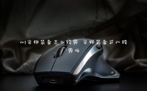 dnf宠物装备怎么跨界 宠物装备可以跨界吗