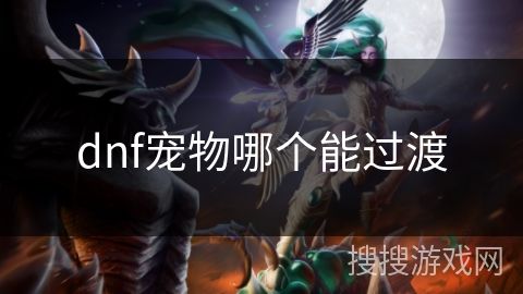 dnf宠物哪个能过渡
