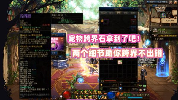 DNF:宠物跨界石拿到手了?这些细节助你传送宠物不出错!